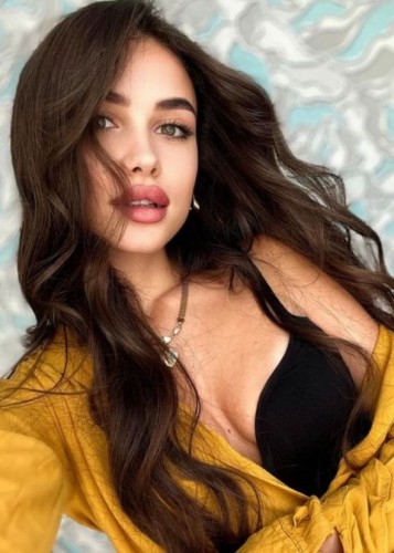 Алиса, Г. Владимир